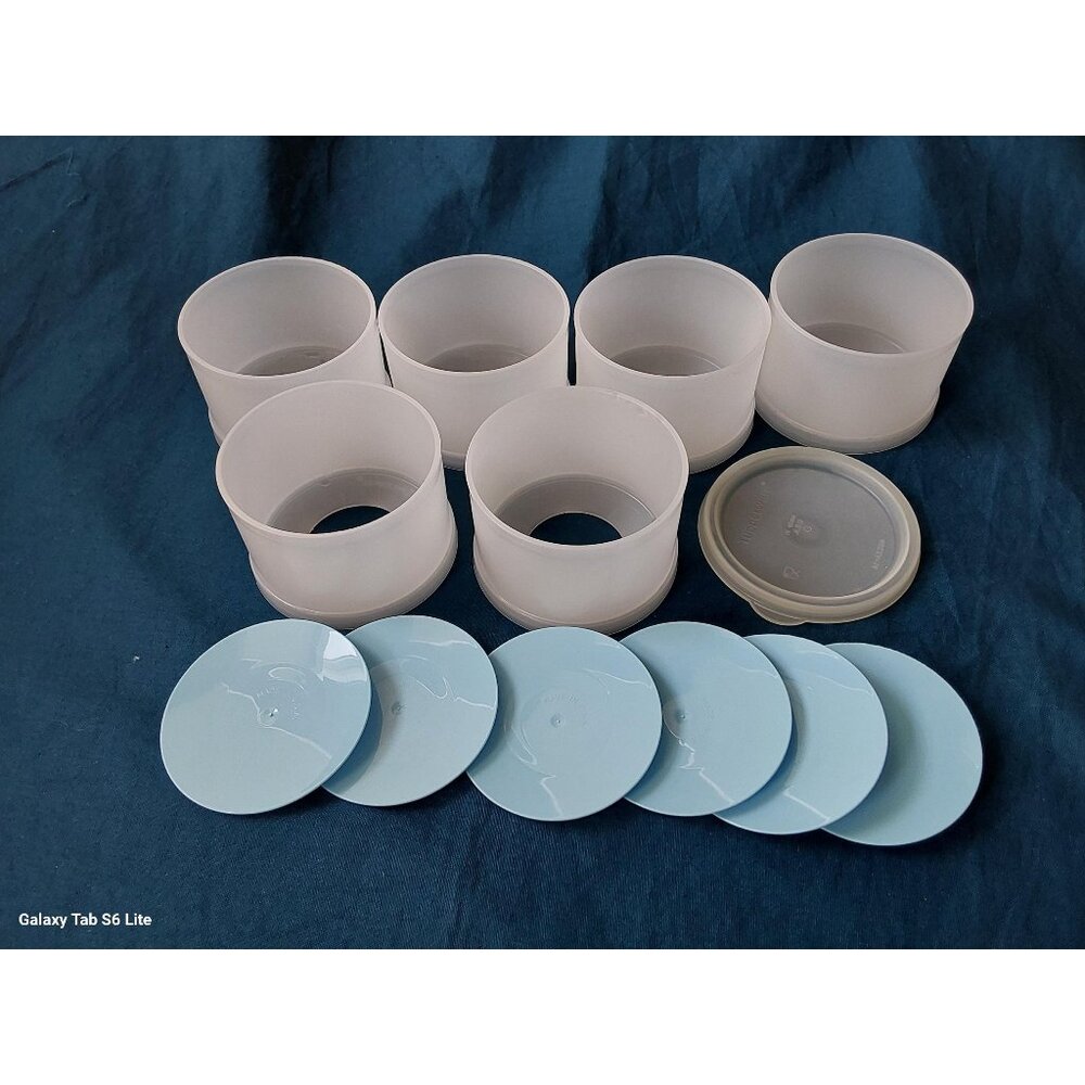 1980s Tupperware ice cream sandwich molds set of 6 stacking blue lids 1729-16